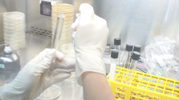 研究室で働いているアジアの科学者の終わり 実験結果を見つけるための研究者 — ストック動画