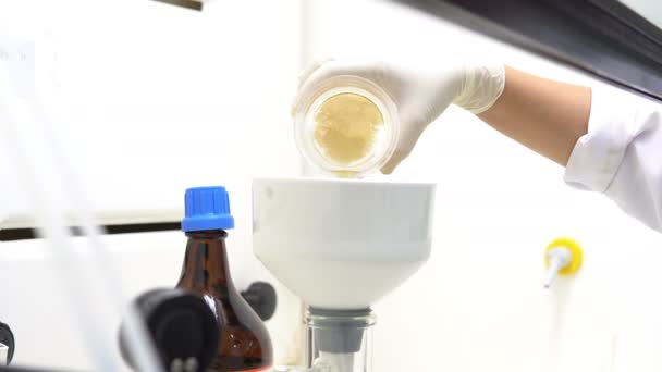 Close Cientista Sexo Feminino Que Trabalha Laboratório — Vídeo de Stock