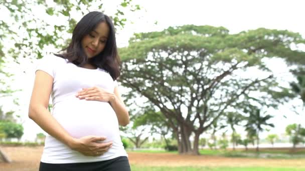 Portrait Young Pregnant Woman Outdoor — 비디오