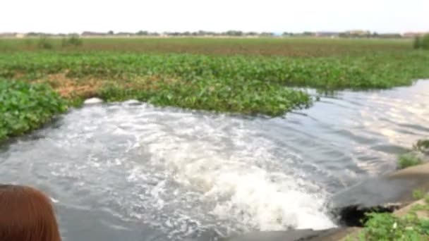 Ecologista Feminina Trabalhando Perto Estação Limpeza Água — Vídeo de Stock