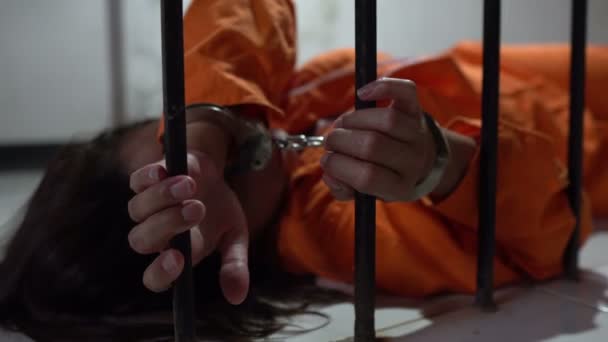 Mujer Desesperada Por Atrapar Prisión Hierro Concepto Prisionero — Vídeo de stock