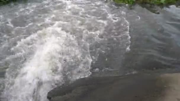 Ecologista Femminile Che Lavora Vicino Alla Stazione Pulizia Dell Acqua — Video Stock