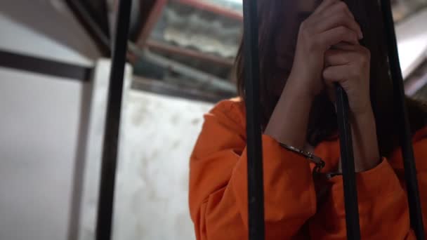 Wanita Putus Asa Untuk Menangkap Penjara Besi Konsep Tahanan — Stok Video