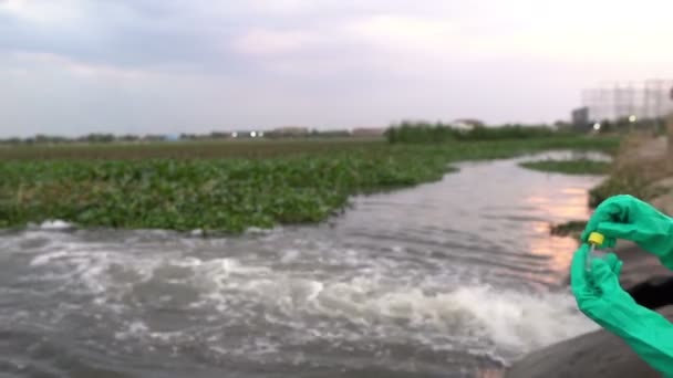 Femme Écologiste Travaillant Près Une Station Nettoyage Eau — Video