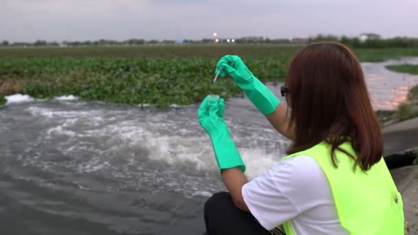 女性生態学者が水洗い場近くで働いています — ストック動画
