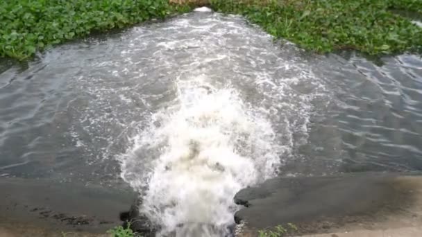 Acqua Che Scorre Alla Stazione Pulizia — Video Stock