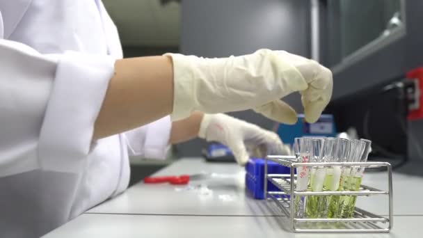 Zblízka Vědecká Pracovnice Pracující Laboratoři — Stock video