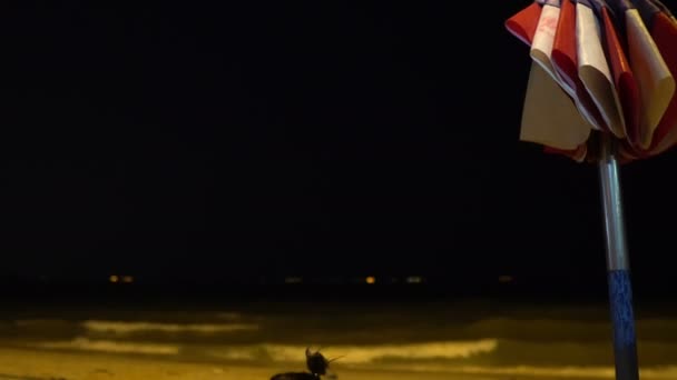 Cute Asian Girl Playing Beach Sea Background Nighttime — Stock Video