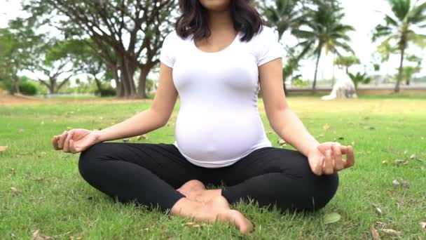 Portrait Young Pregnant Woman Outdoor — Stock Video