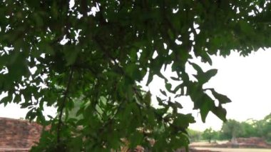 Eski bir şatoda eski bir Tayland elbisesi ve hayalet makyajı giymiş Asyalı kadın portresi