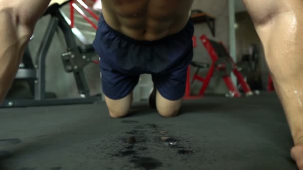 체육관에서 근육질 근육질 훈련을 — 비디오
