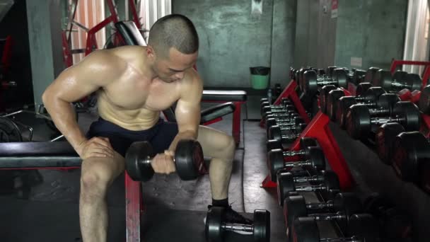 体育館で筋肉量の多いアジア系男性が — ストック動画