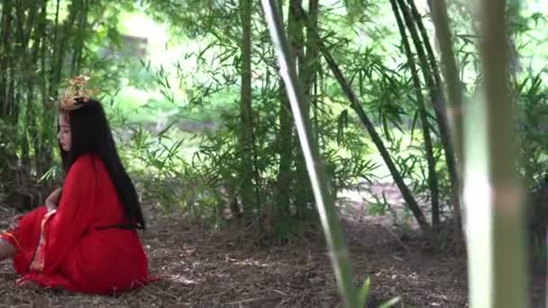 Asyalı Bir Kadının Portresi Eski Tayland Kırmızı Elbisesi Altın Tacı — Stok video