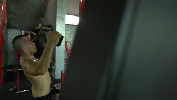 Homme Asiatique Avec Gros Muscles Entraînement Poids Gymnase — Video