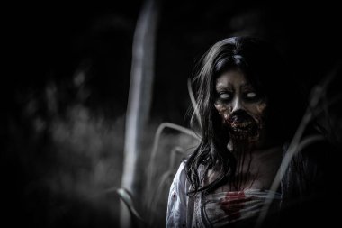 Asyalı kadın portresi hayalet yüzü, korku sahnesi, korkunç arka plan, Cadılar Bayramı posteri. 