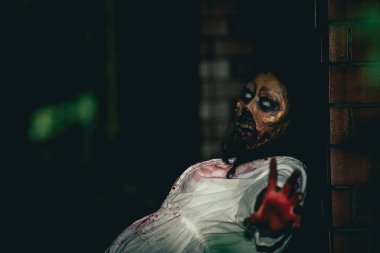 Asyalı kadın portresi hayalet yüzü, korku sahnesi, korkunç arka plan, Cadılar Bayramı posteri. 