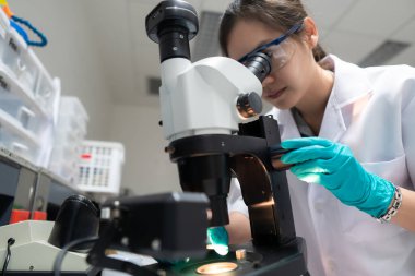 Laboratuvarda çalışan Asyalı bilim adamı araştırmacılar deneyin sonuçlarını araştırıyorlar.