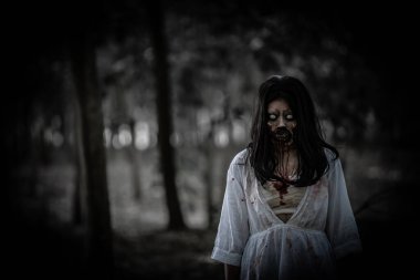 Asyalı kadın portresi hayalet yüzü, korku sahnesi, korkunç arka plan, Cadılar Bayramı posteri. 