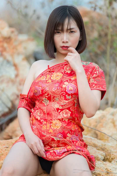 Cheongsam Elbiseli Güzel Asyalı Seksi Kadının Dışarıda Poz Verirken Portresi — Stok fotoğraf