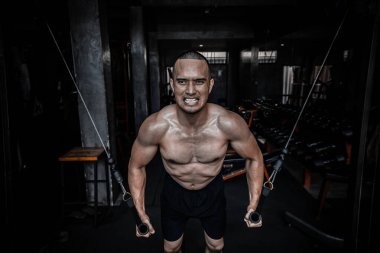 Asyalı bir adamın portresi. Spor salonunda büyük kas gücü, vücut ağırlığı eğitimi.