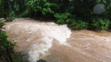 Tropikal bölgede yağmurdan sonra kirli su ile nehir manzarası
