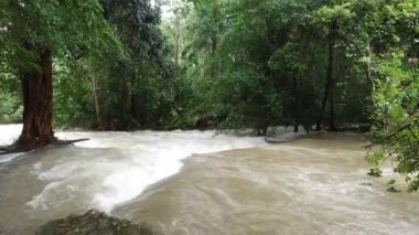 Tropikal bölgede yağmurdan sonra kirli su ile nehir manzarası