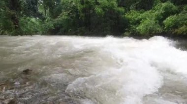 Tropikal bölgede yağmurdan sonra kirli su ile nehir manzarası