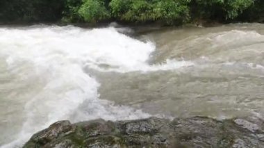 Tropikal bölgede yağmurdan sonra kirli su ile nehir manzarası