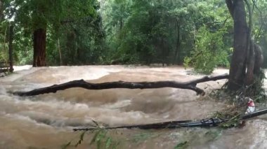 Tropikal bölgede yağmurdan sonra kirli su ile nehir manzarası