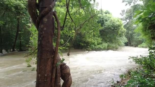 Uitzicht Rivier Met Vuil Water Regen Tropisch Gebied — Stockvideo