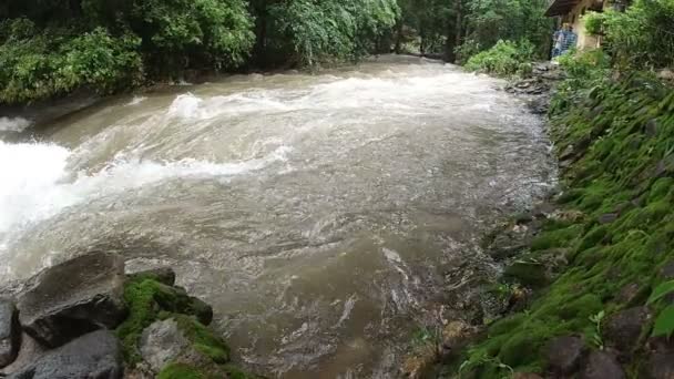 Vista Del Torrente Fiume Con Acqua Sporca Dopo Pioggia Nella — Video Stock