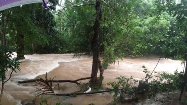 Tropikal Bölgede Yağmurdan Sonra Kirli Ile Nehir Manzarası — Stok video