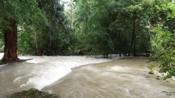 Uitzicht Rivier Met Vuil Water Regen Tropisch Gebied — Stockvideo