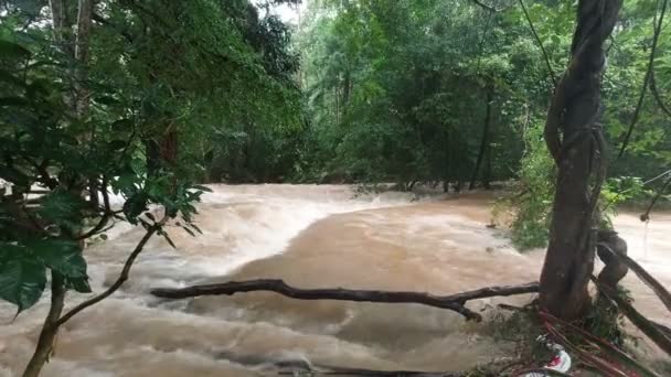 Uitzicht Rivier Met Vuil Water Regen Tropisch Gebied — Stockvideo