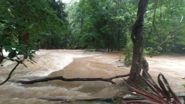 Tropikal Bölgede Yağmurdan Sonra Kirli Ile Nehir Manzarası — Stok video