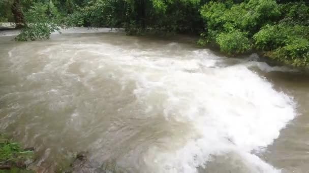 Vista Del Torrente Fiume Con Acqua Sporca Dopo Pioggia Nella — Video Stock