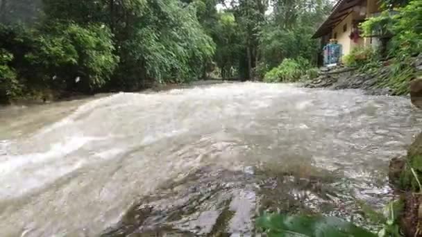 Uitzicht Rivier Met Vuil Water Regen Tropisch Gebied — Stockvideo