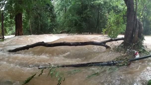 Tropikal Bölgede Yağmurdan Sonra Kirli Ile Nehir Manzarası — Stok video