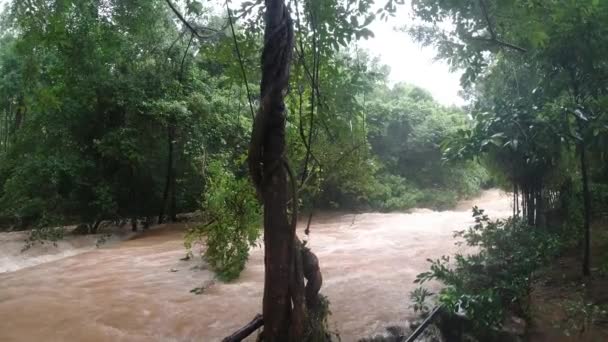 Uitzicht Rivier Met Vuil Water Regen Tropisch Gebied — Stockvideo