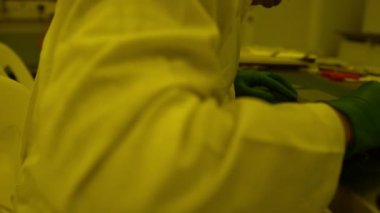 Sarı labaratuvarda çalışan Asyalı bilim adamı, deneylerin sonuçlarını araştıran araştırmacı, yeni coronavirüs türlerini önlemek ve yok etmek için kan tahlili yapan doktor.