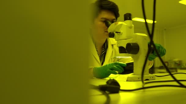 Азиатский Ученый Работающий Желтой Лаборатории Исследователь Исследующий Результаты Эксперимента Врач — стоковое видео