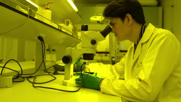 Científicos Asiáticos Que Trabajan Laboratorio Amarillo Investigadores Que Buscan Resultados — Vídeo de stock