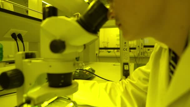 Aziatische Wetenschapper Werkzaam Geel Lab Onderzoeker Onderzoek Naar Resultaten Van — Stockvideo