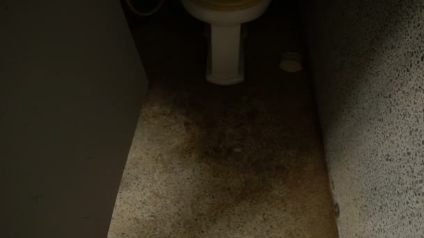 Portrait de femme asiatique maquillage visage fantôme, Scène d'horreur, Fond effrayant, Concept d'Halloween  