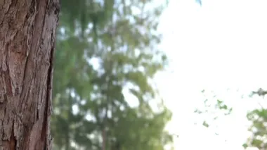 Küçük Asyalı kızın portresi park ormanında kışlık kıyafetler giyer.