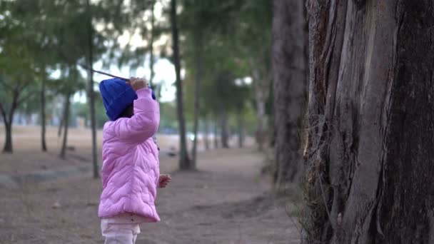 Portrait Cute Asian Little Girl Wear Winter Clothes Forest Park — Stock Video