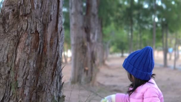 Portrait Cute Asian Little Girl Wear Winter Clothes Forest Park — Stock Video