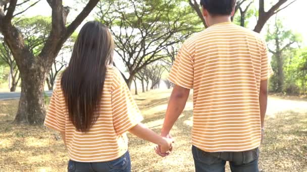 年轻的一对恋爱中的亚洲夫妇在森林里共度时光 — 图库视频影像