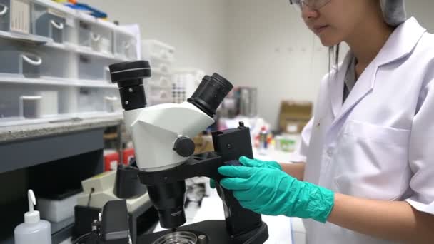 Asian Scientist Working Lab Researching Find Results Experiment — Stock Video