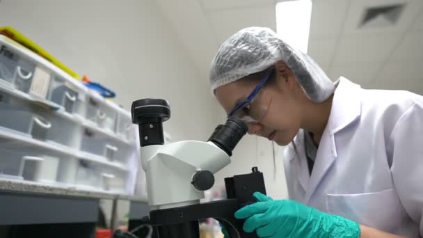 Científico Asiático Trabajando Laboratorio Investigando Para Encontrar Los Resultados Del — Vídeos de Stock